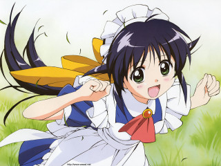 Girl dress running grass smile - her face free wallpaper