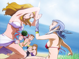 Cartoon woman bikini sword group - summer free wallpaper for desktop