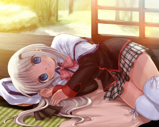 Woman laying bed mouse cat - her hand and a cat free wallpaper