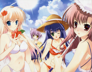 Sky beach girls hats bikinis - cloud behind them free wallpaper