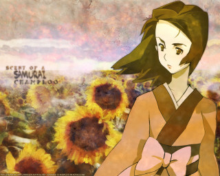 Sunflower field autumn kimono bow - a sky background and a quote free wallpaper