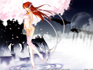 Woman cat water cherry blossoms - her back and a cat free wallpaper