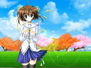 Anime girl field cherry blossoms - net art free wallpaper
