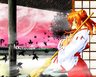 Woman broom pink sky umbrella - a pink sky free wallpaper