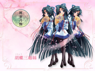 Anime girls longhair blueeyes cherryblossoms - pink free wallpaper for desktop