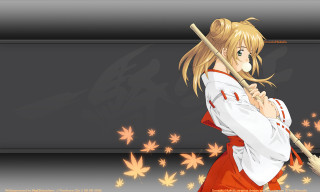 Woman broom maple leaves autumn - a broom free wallpaper
