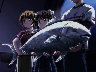 Man woman large fish room - lostfish free wallpaper