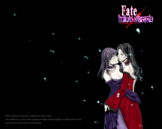 Fate maiden neoromantic ufotable galaxy - a couple of people free wallpaper for desktop