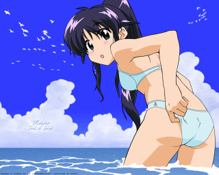 Woman ocean bird bikini anime - the ocean free wallpaper for desktop