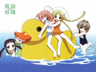 Girls riding duck water bikini - a group of girls free wallpaper