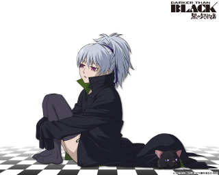 Gothic argyle checkered cat sitting - floor free wallpaper