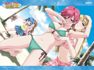 Group women bikinis water palm 3 - palm tree free wallpaper