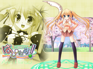 Girl blonde twintails cherryblossoms schooluniform - a sign free wallpaper