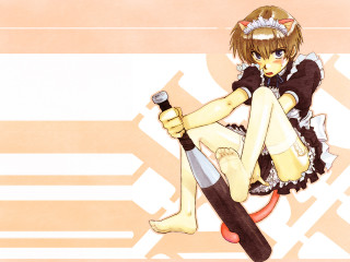 Skateboard girl knife cat anime - a skateboard free wallpaper