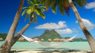 Hammock palm trees beach mountain 2 - a hammock free wallpaper