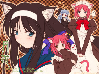 Anime girls cat ears blue 2 - their head free wallpaper