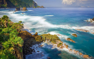 Rocky coastline waves trees ocean - wave free wallpaper