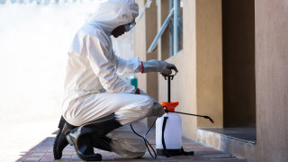 Man white suit holding penguin - a white suit free wallpaper