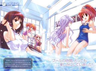 Women bathing suits pool water - suit free wallpaper