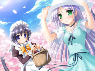 Anime flowers basket sky hanami - a basket of flowers free wallpaper