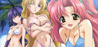 Pinkhair bluebikini threegirls palmtrees beach - palm tree free wallpaper