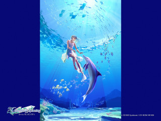 Woman dolphin fish ocean bikini - a woman riding free wallpaper
