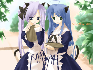 Anime girls cat ears tray - their head free wallpaper for desktop