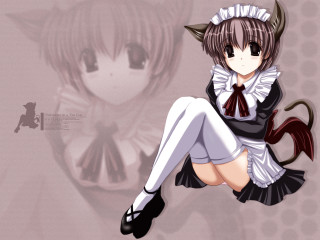 Anime girl horns cat ears - a wallpaper free wallpaper