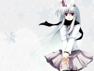 Girl cat ears anime scarf - a cat ear free wallpaper