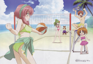 Beach volleyball dog girls summer - a group of people free wallpaper for desktop
