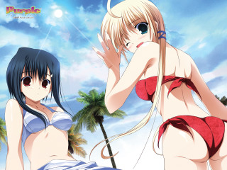 Beach anime girls bikinis palm - palm tree free wallpaper