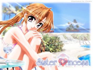 Girl beach wine anime sunset - her hand and a bottle of wine free wallpaper