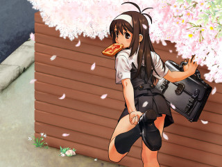 Woman pizza bag cherryblossoms anime - cherry blossom free wallpaper