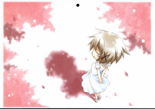 Anime girl white dress cherry - a white dress free wallpaper