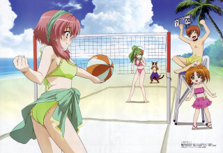 Beach girls volleyball dog sky - a poster free wallpaper for desktop