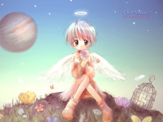 Girl bird rock angel wings - a rock free wallpaper for desktop