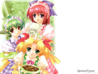 Anime girls food tray maid - a plate free wallpaper