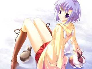 Yellow coat bunny snow anime - furry free wallpaper