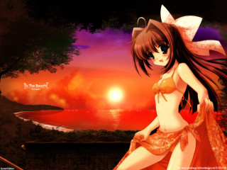 Woman bikini sunset cat hair - a sunset free wallpaper