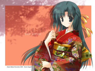 Woman kimono knife flowered umbrella - a knife free wallpaper