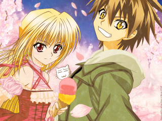 Anime couple pink flower cat - a manga drawing free wallpaper for desktop