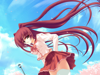 Girl long hair wind cherry - flowing hair free wallpaper