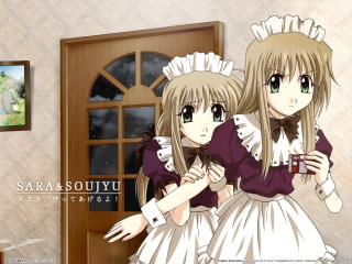 Anime maid girls door window - a picture of a cat free wallpaper