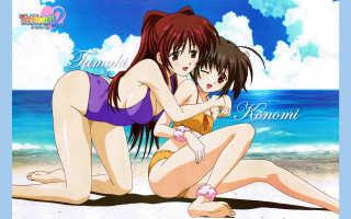 Beach animegirls hug cat tails - the other free wallpaper