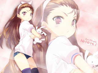 Girl long hair cat pink - long hair holding free wallpaper