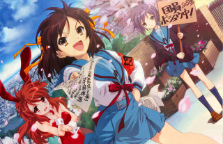 Anime girls flower tree sign - a group of anime girls free wallpaper