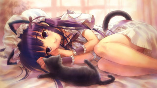 Gothic anime girl bed cat - gothic free wallpaper for desktop