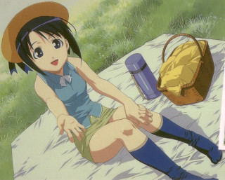Girl picnic basket sitting kyoto - a bag free wallpaper