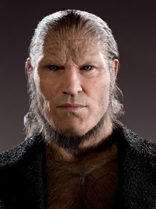 Man long hair beard head - weta digital free wallpaper