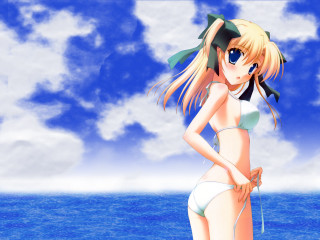 Beach bikini woman ocean sky - blue sky free wallpaper